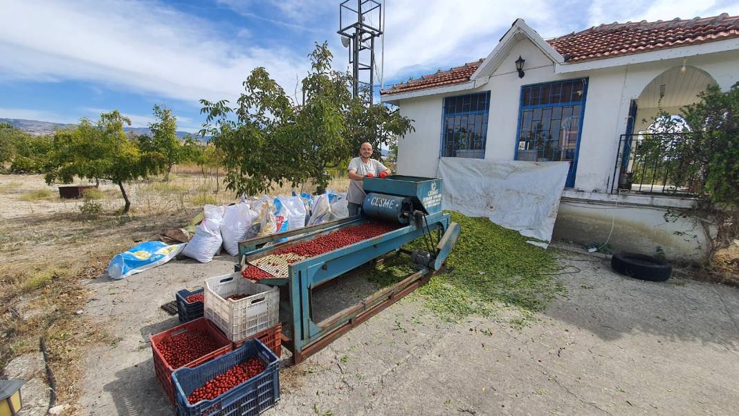 Manisa'da hasadı başladı: Kışın soğuğundan, kalpten ve şekerden koruyor 6